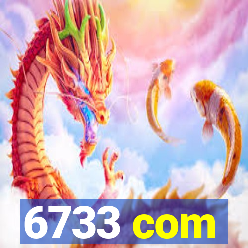 6733 com